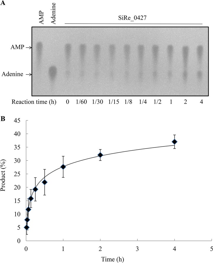 FIG 3