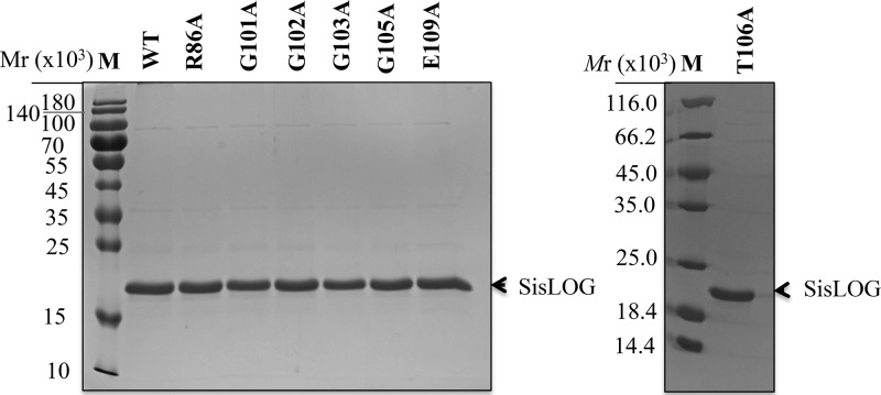 FIG 2