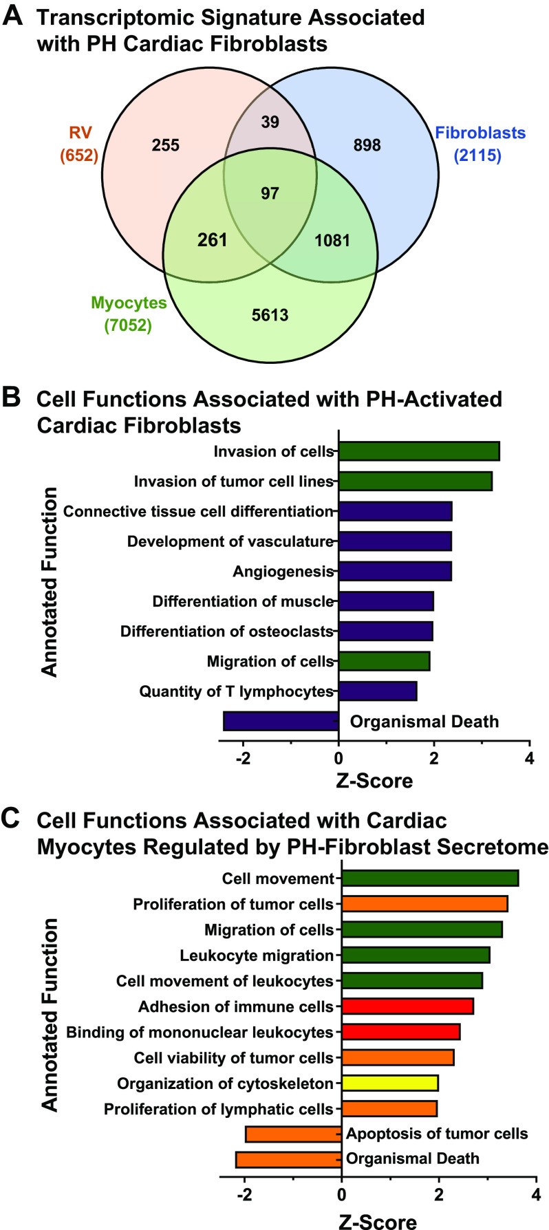 Figure 9.