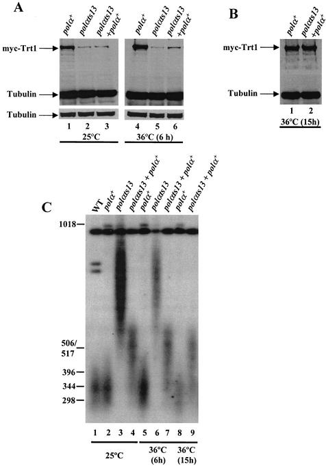 FIG. 8.