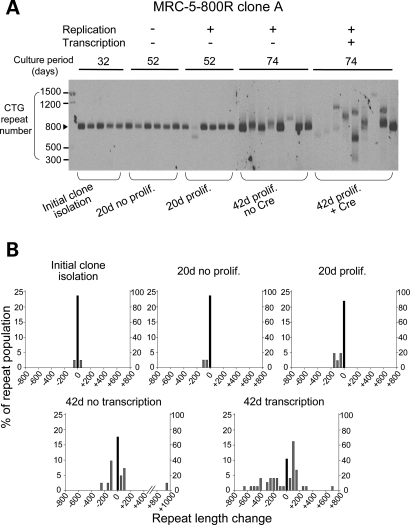 Figure 2.