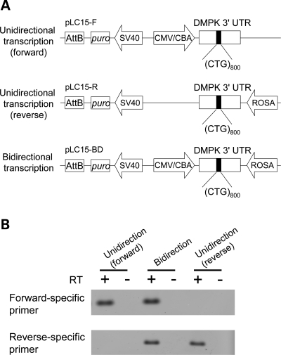 Figure 3.