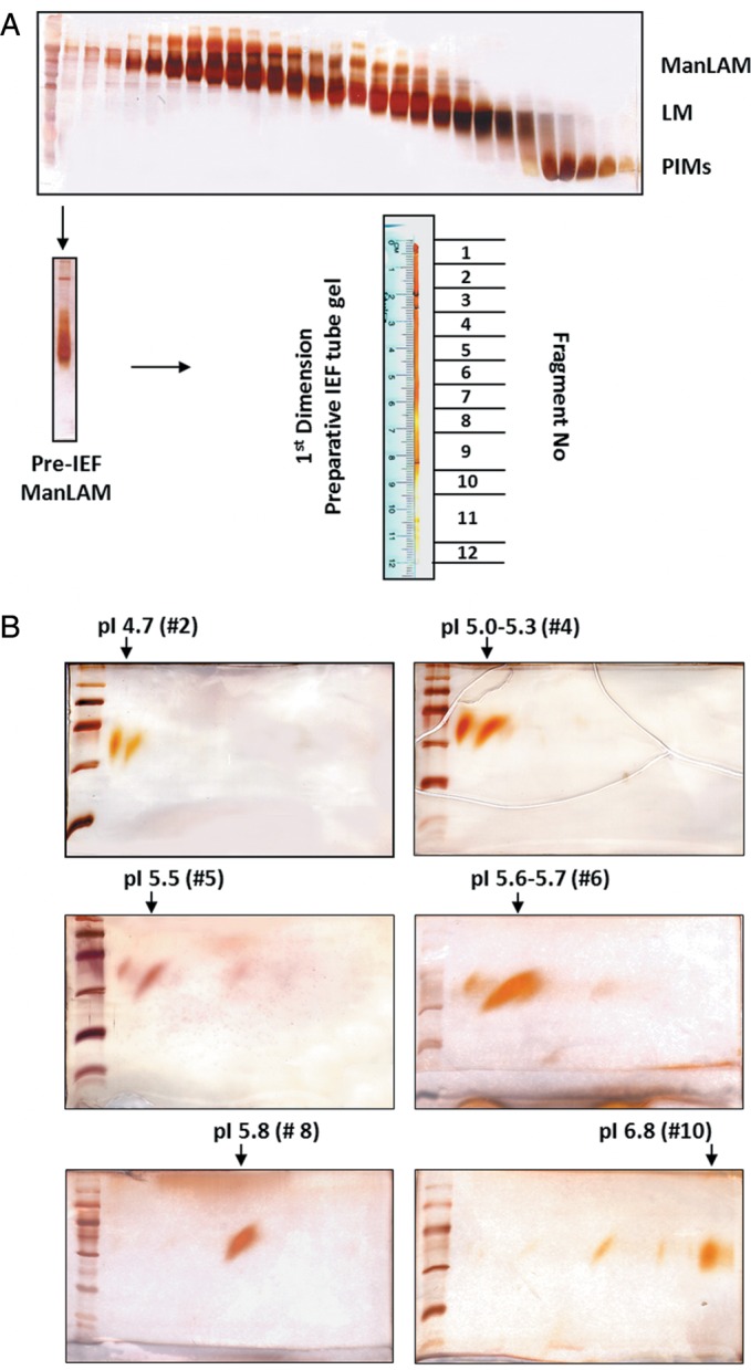 Fig. 4.