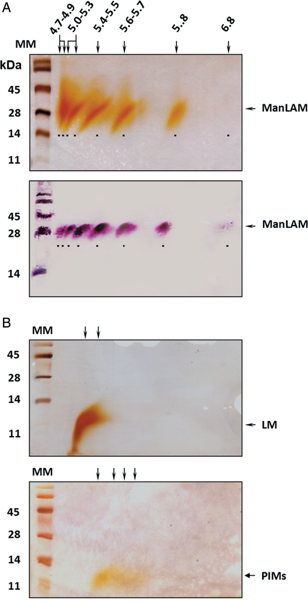 Fig. 2.