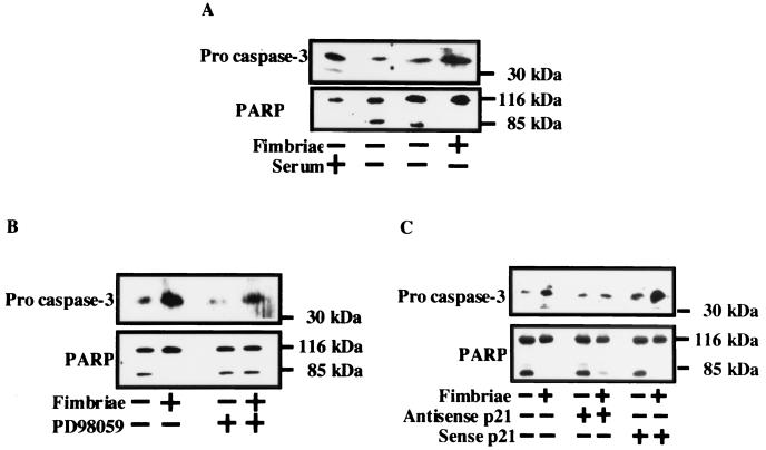 FIG. 8