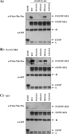 FIG. 4.