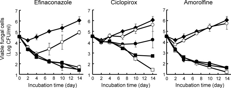 FIG 4