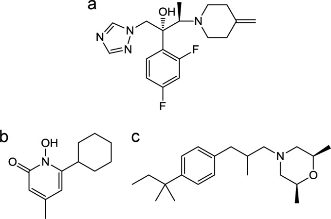 FIG 1