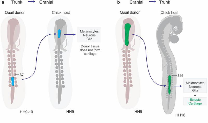 Figure 2: