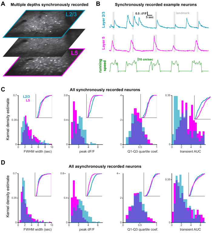 Figure 2—figure supplement 2.