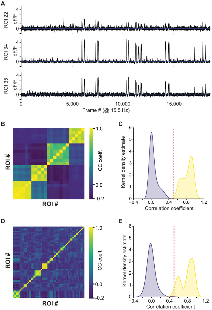 Figure 7—figure supplement 1.