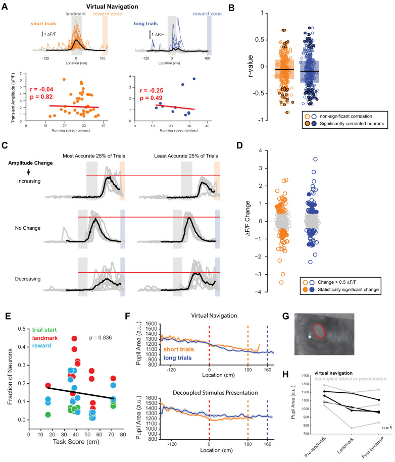 Figure 4—figure supplement 1.