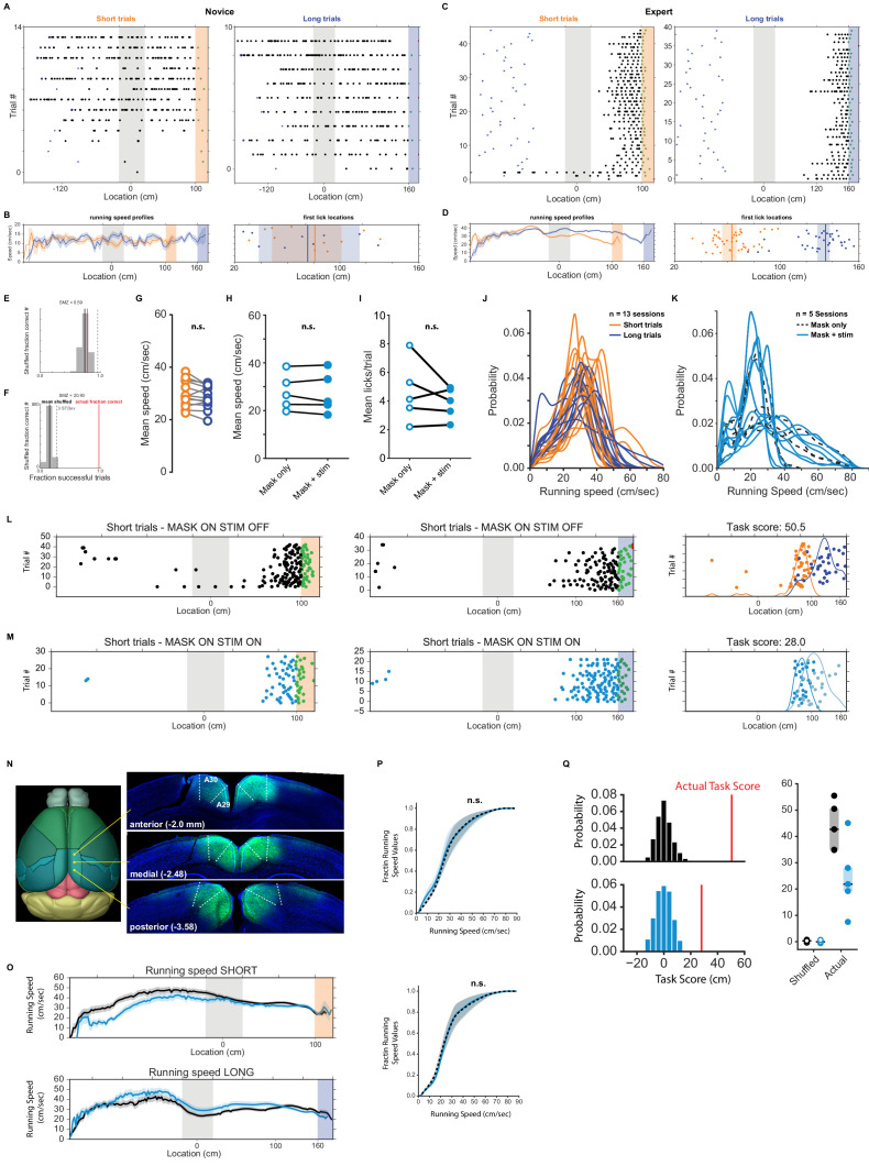 Figure 1—figure supplement 1.