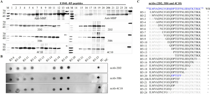 Fig 6