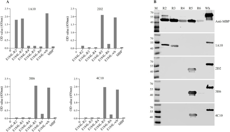 Fig 4