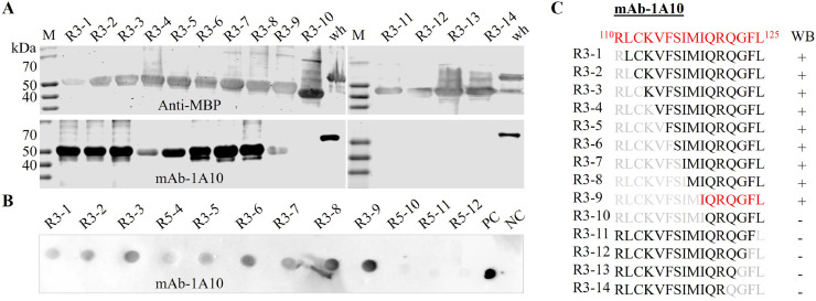 Fig 5