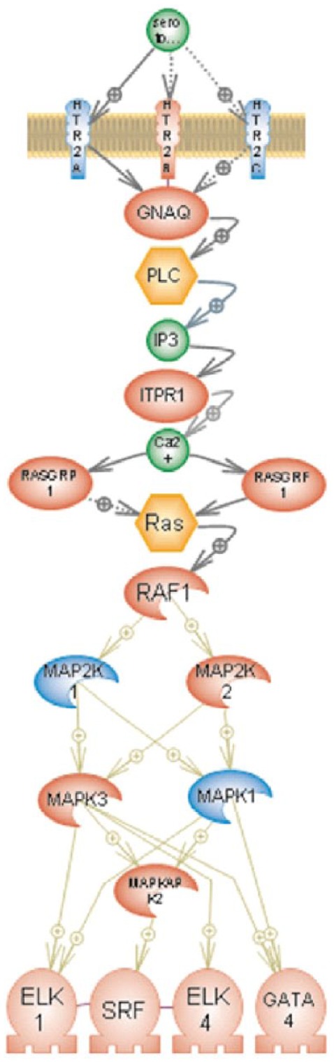 Figure 2.