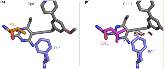 Figure 4.