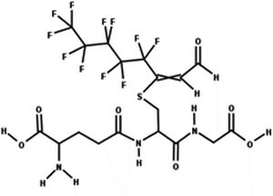 graphic file with name nihms-1814311-t0048.jpg