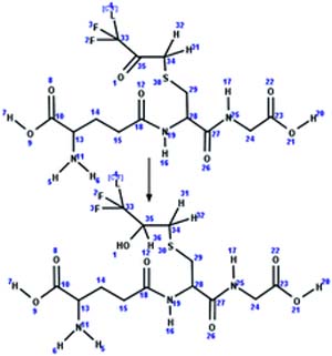 graphic file with name nihms-1814311-t0014.jpg