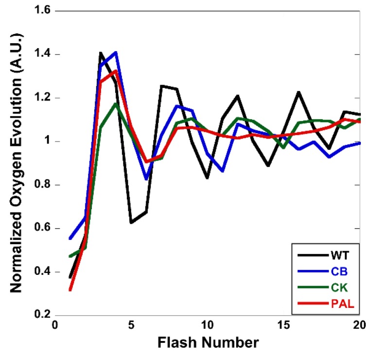 Figure 5