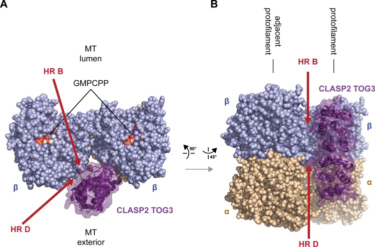 Fig 7