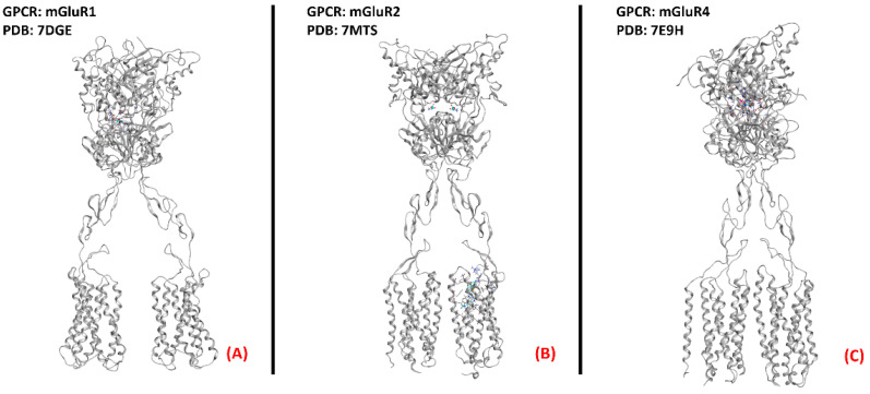 Figure 24