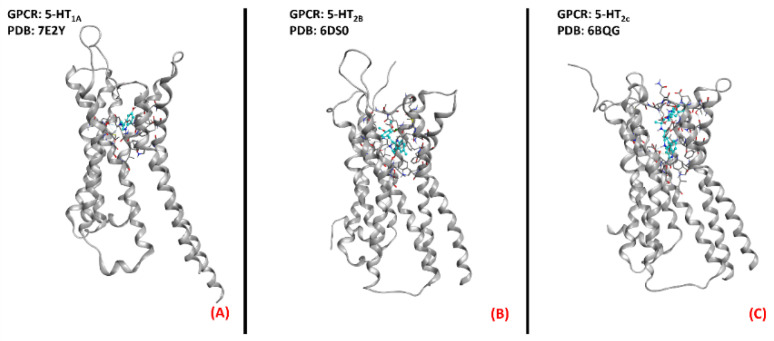 Figure 13