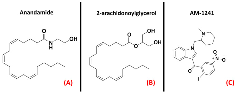 Figure 20