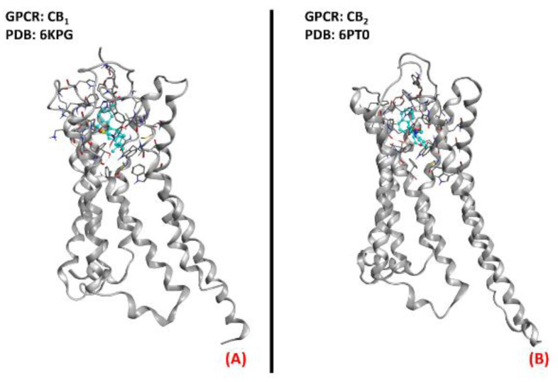 Figure 21