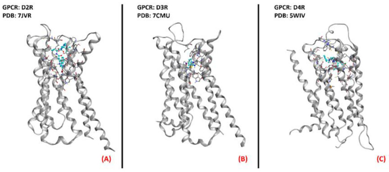 Figure 11