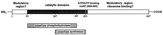 FIG. 8