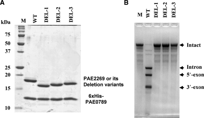 Figure 5.