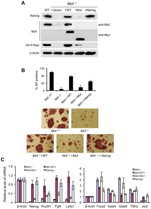 Figure 6