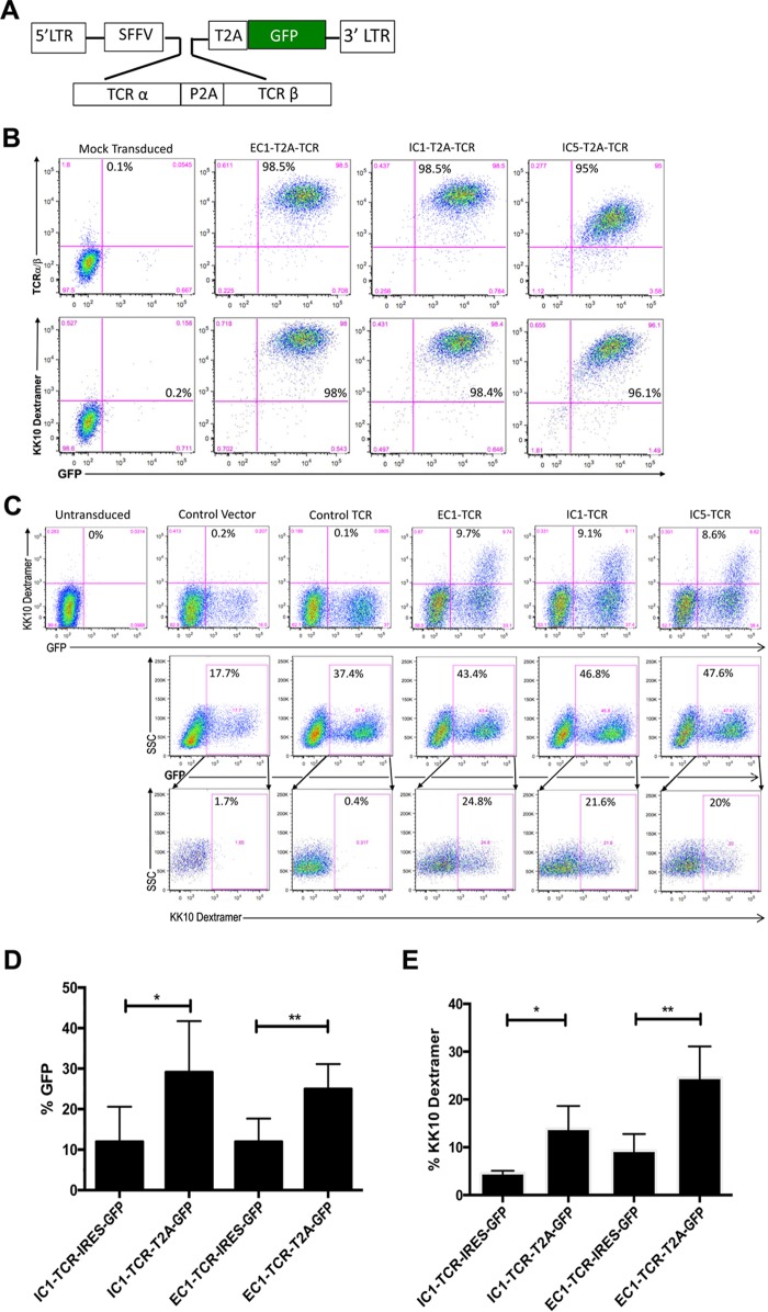 FIG 6