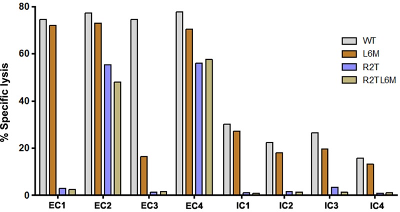 FIG 1