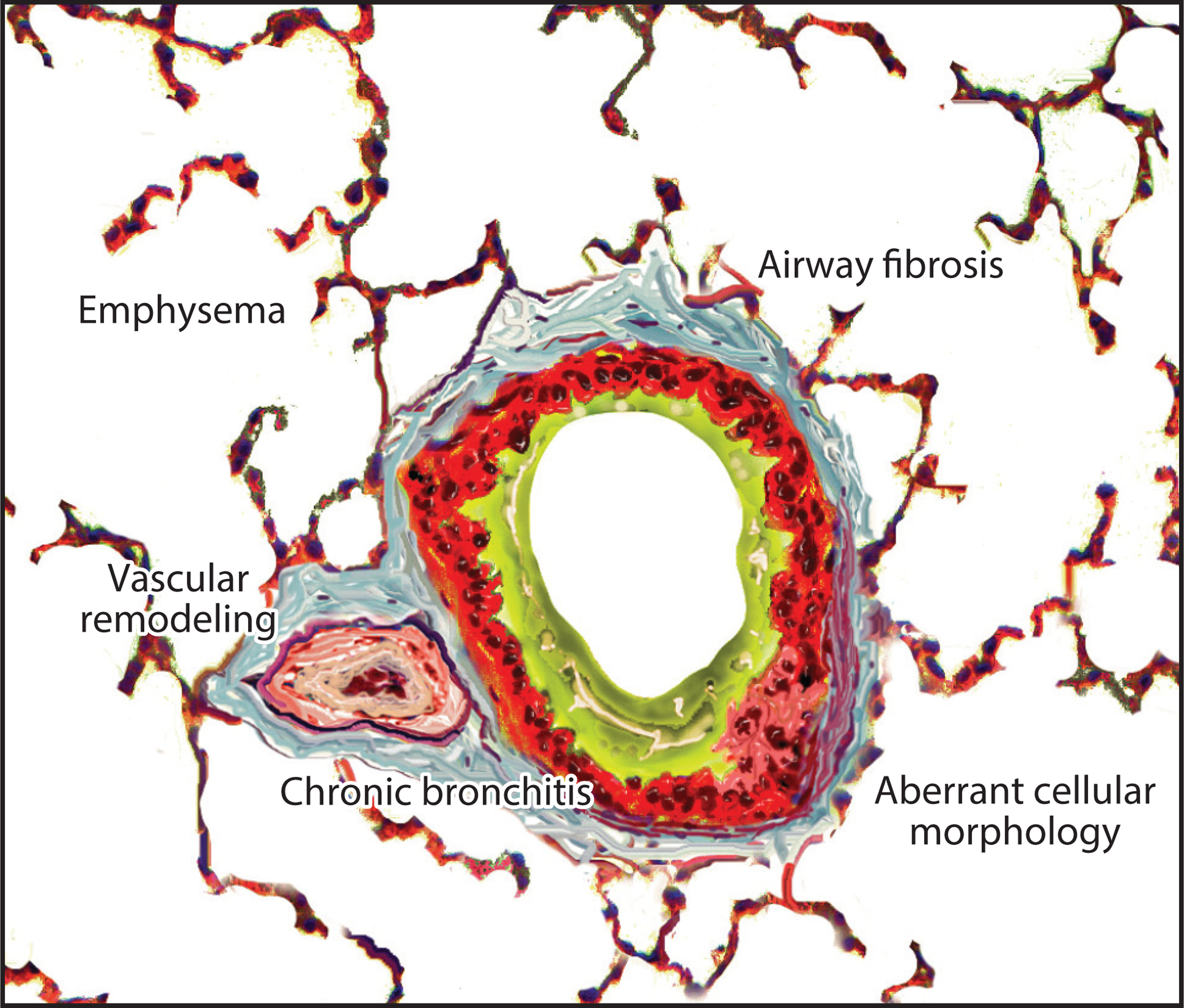 Figure 1: