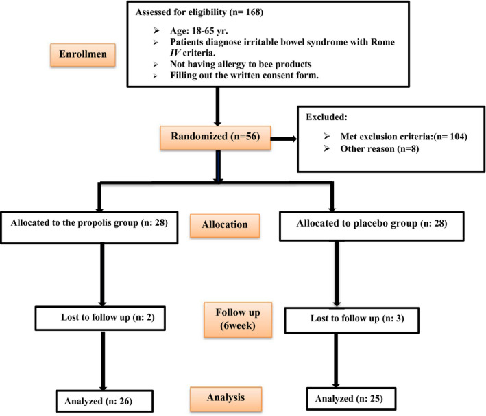 FIGURE 1