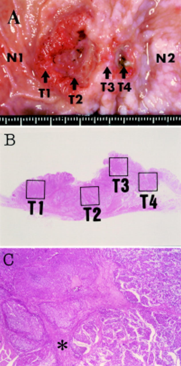 Figure 1  