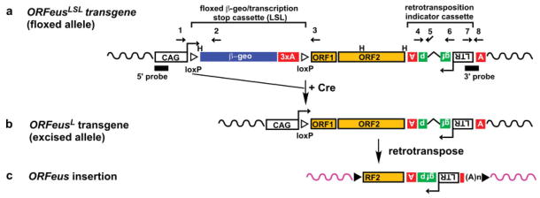 FIG. 1