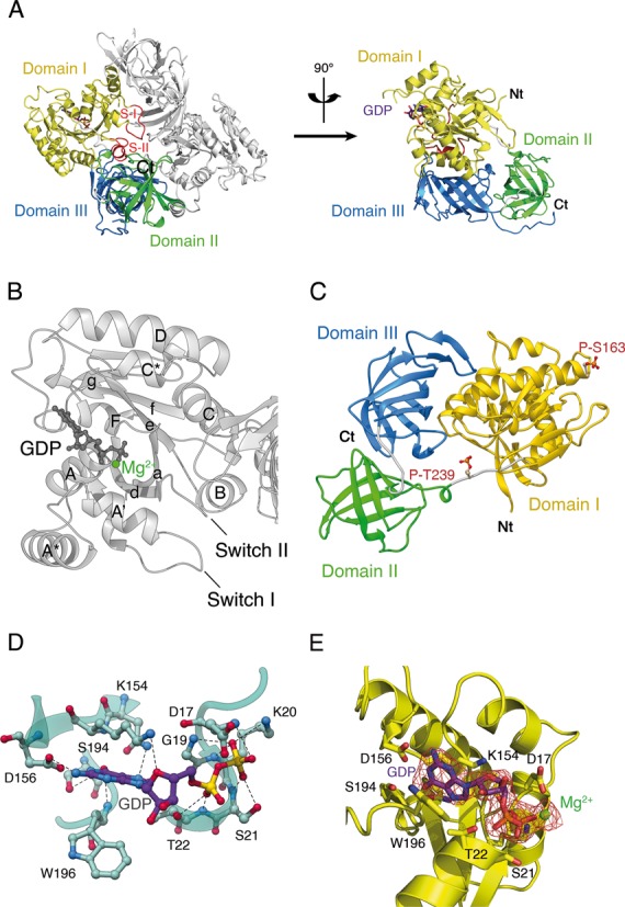 Figure 1.