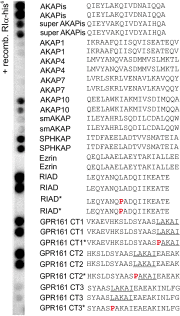 Fig. S6.