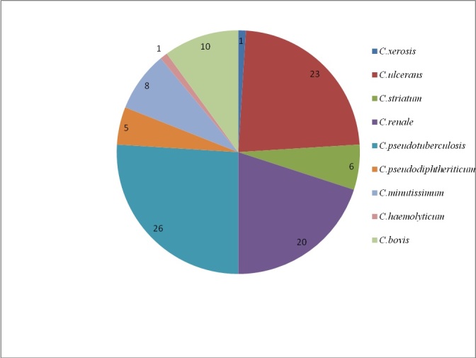 [Table/Fig-2]: