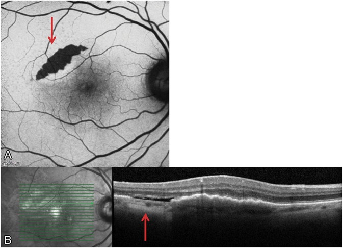 Fig. 4.