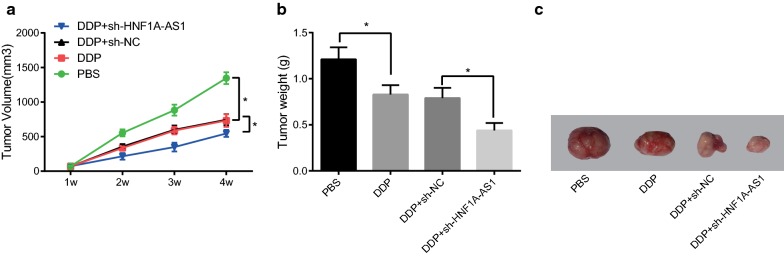 Fig. 6