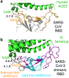 Extended Data Figure 2: