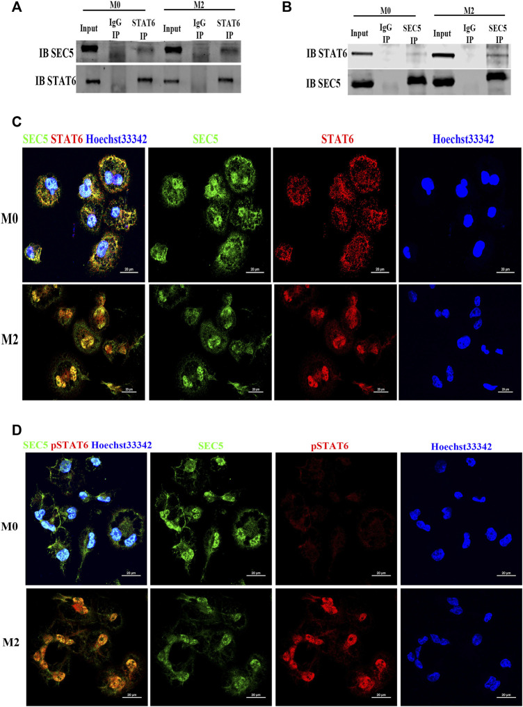 FIGURE 4