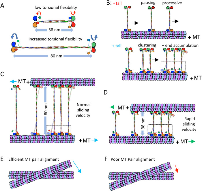 FIGURE 6: