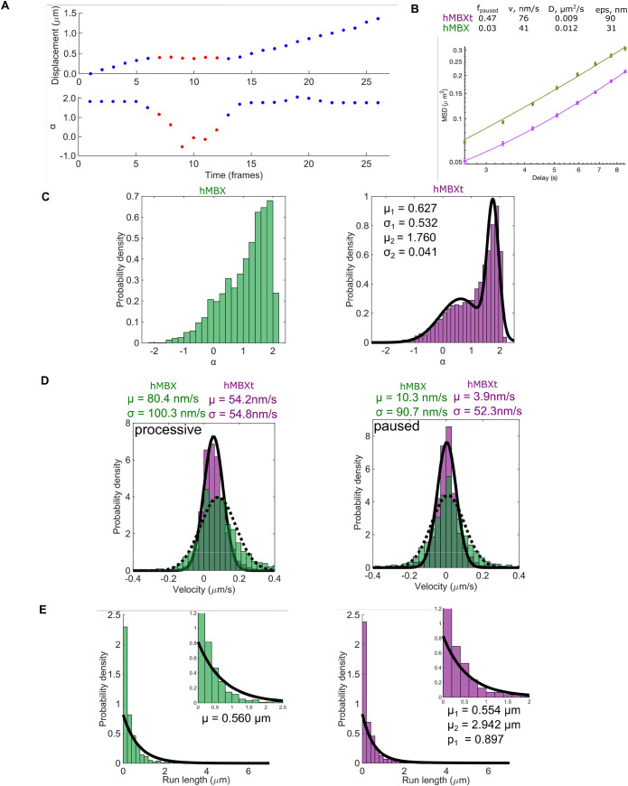 FIGURE 3: