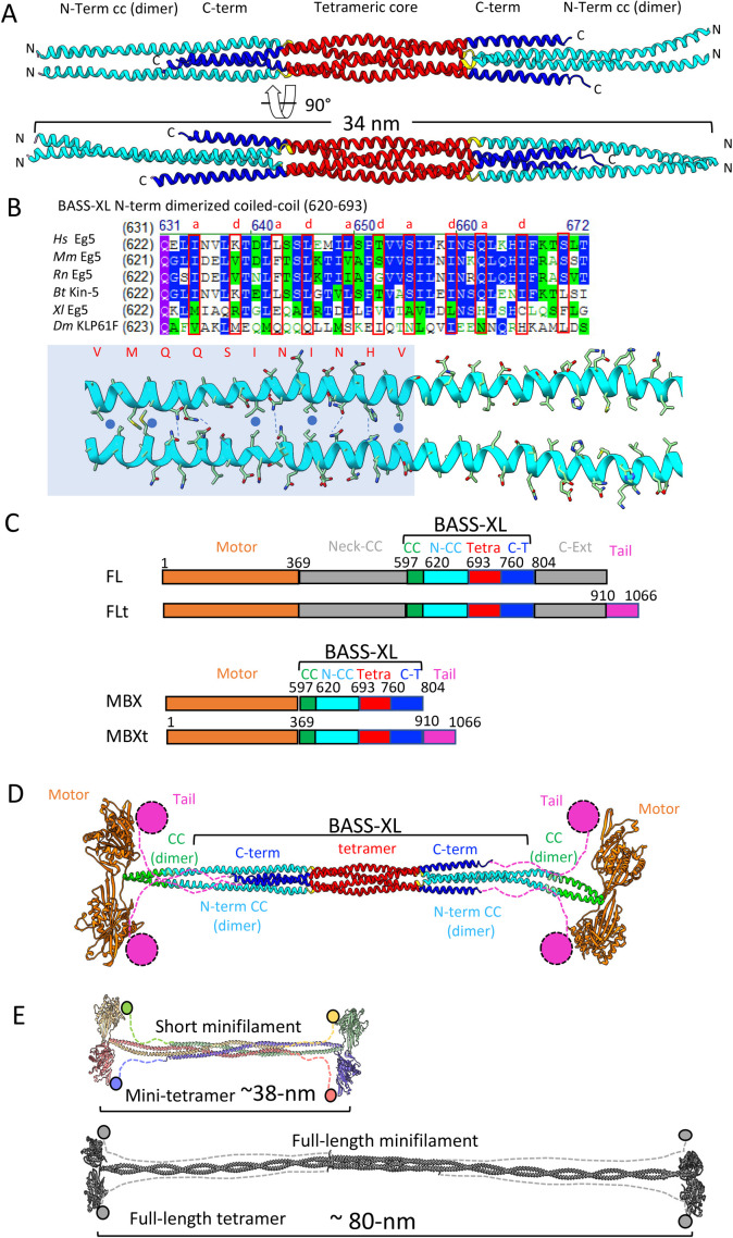 FIGURE 1: